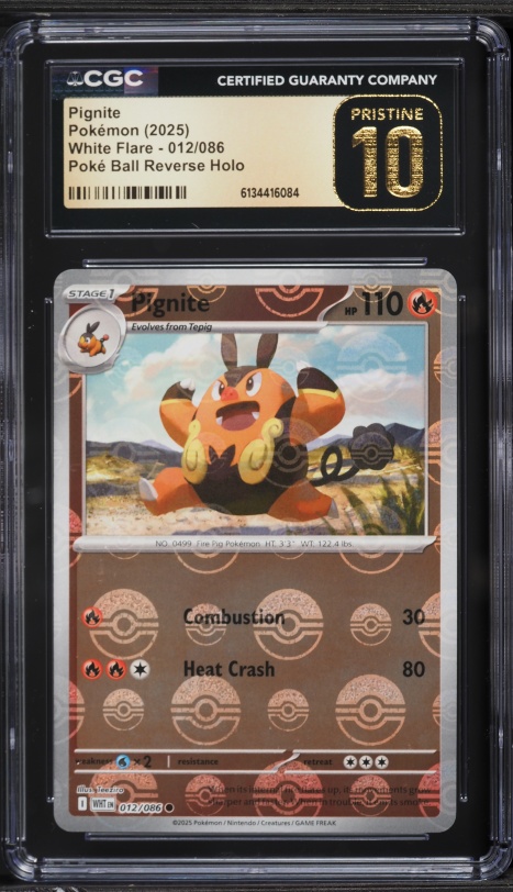 2025 Pokemon Scarlet & Violet White Flare IR Pignite #97 CGC 9 MINT on  Fanatics Collect