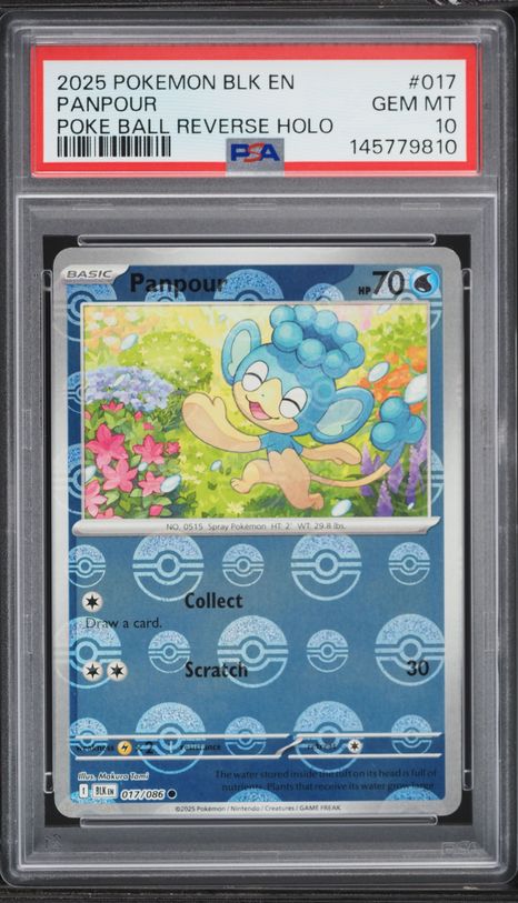 2025 Pokemon Scarlet & Violet Black Bolt Poke Ball Reverse Holo Panpour #017 PSA 10 GEM MINT