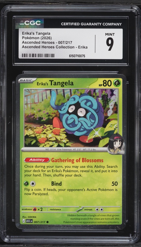 pokemon cards eb Pokemon: 2026 Q1 Mini Portfolio (Phantasmal Flames)