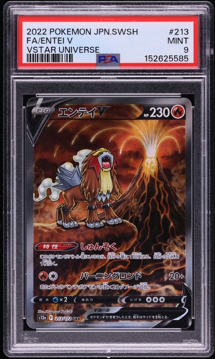 2022 Pokemon Japanese Sword & Shield VSTAR Universe SAR Entei V #213 PSA 9 MINT