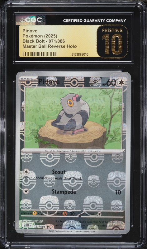 2025 Pokemon Japanese Scarlet & Violet Black Bolt AR Pidove #153 CGC 10 GEM  MINT on Fanatics Collect