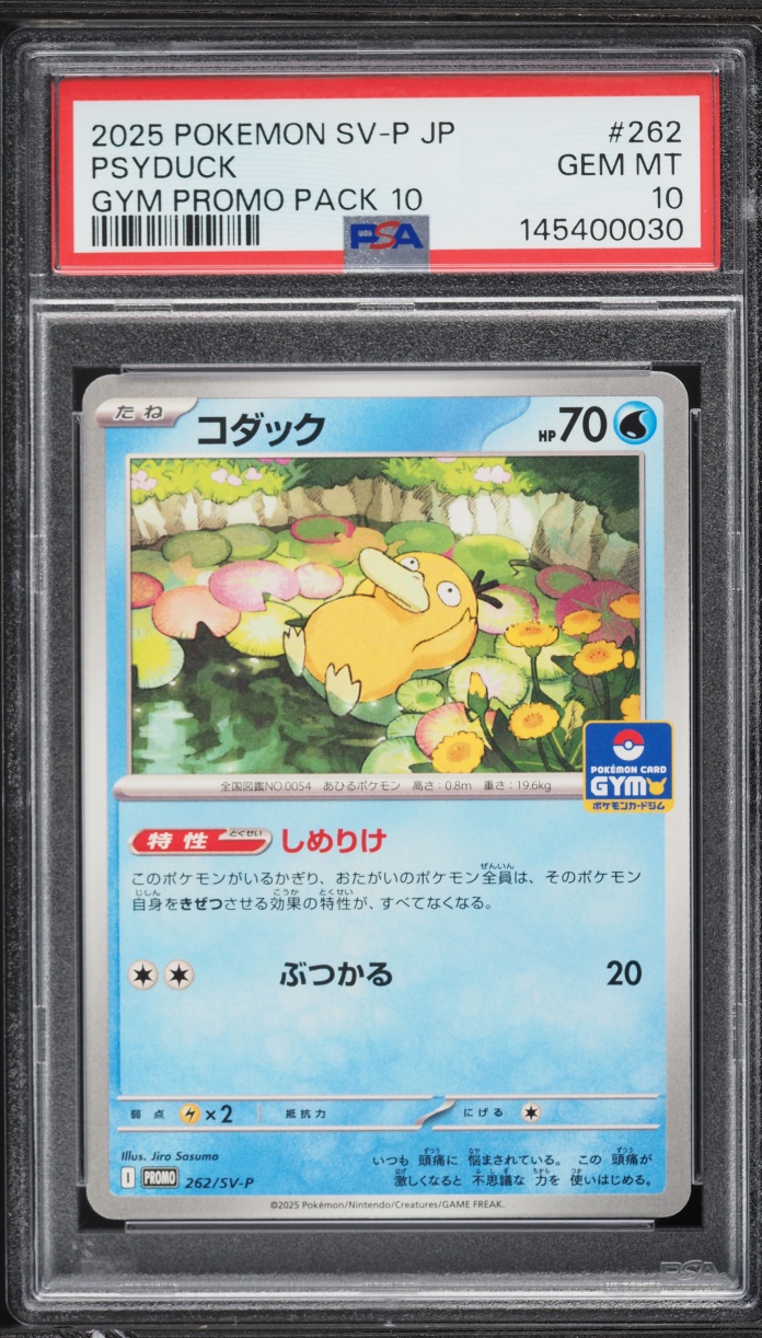 2025 Pokemon Japanese Scarlet & Violet Promo Gym Pack 10 Psyduck #262 PSA 10 GEM MINT