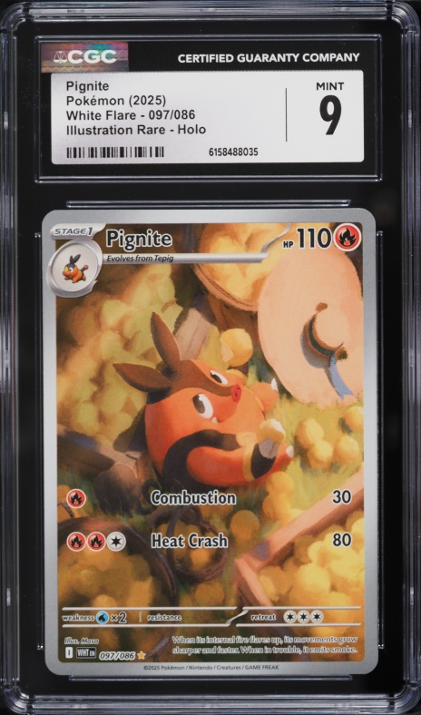 pokemon pignite card IR (Graded) Case Colorless Combustion (90) Weakness Water ×2 Resistance None None Retreat Cost Pignite with 10k hp :