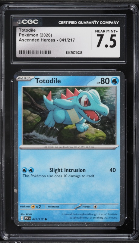 magic card binder Trading Card Binder 9-Pocket – Holds 324 Cards – Procase main image 0