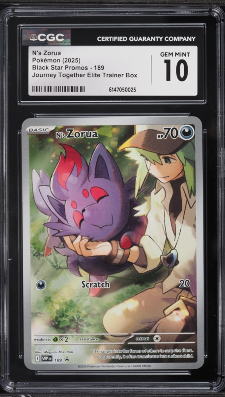 zorua pokemon cards (70/114) [Black & White: Base Set] Darkness Colorless Ram (10) Darkness Zorua 170/264 - SWSH08 Fusion