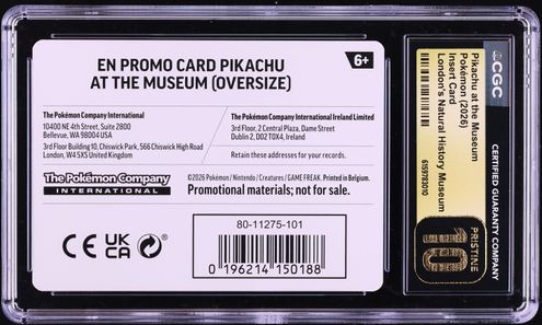 slab pokemon card Mystery Pokémon Graded Card Slab Box – PSA, BGS & CGC (English)
