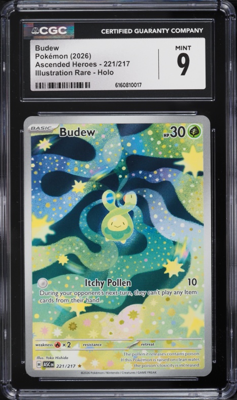 budew pokemon card Pokemon TCG Budew 004-131 Prismatic Evolutions NM (Masterball Foil) – True  Believers Gaming and Collectibles main image 0