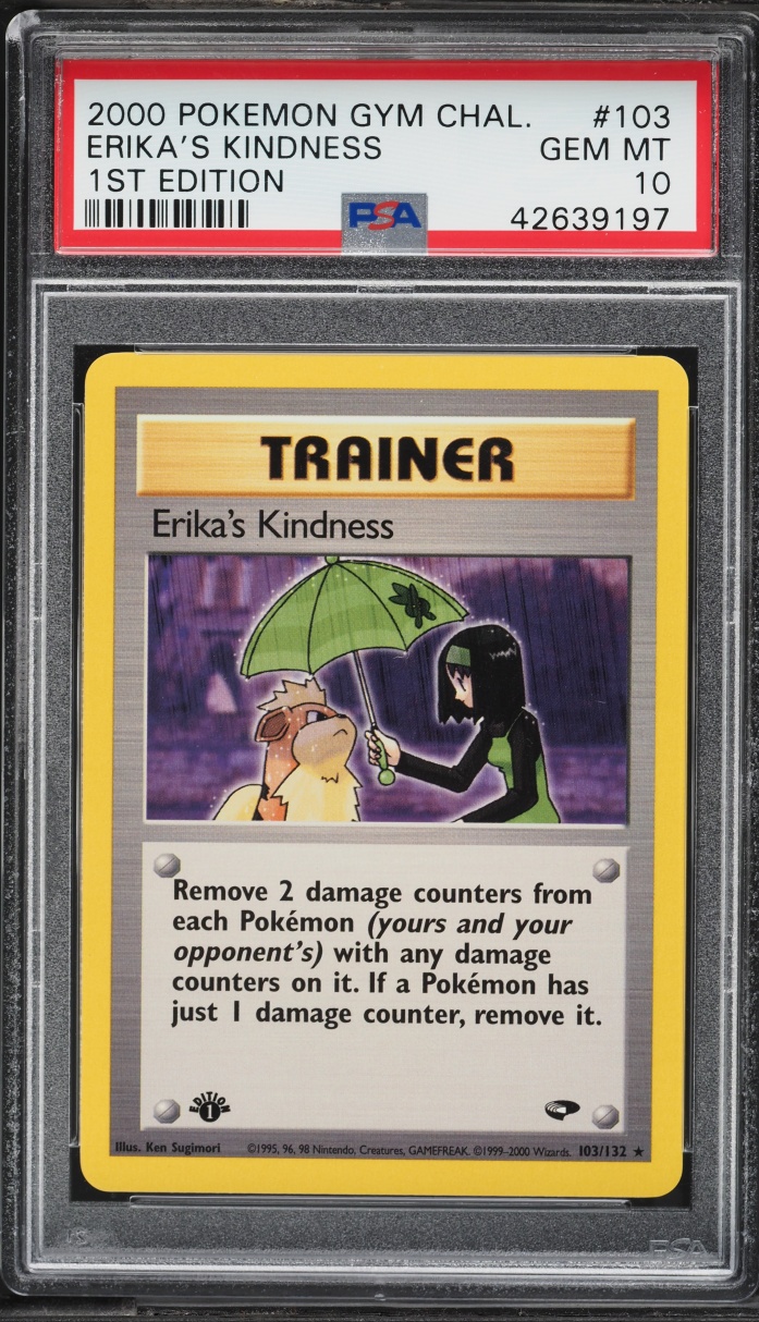 Erika's Kindness