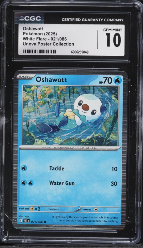 2025 Pokemon Scarlet & Violet White Flare Unova Poster Collection Oshawott #21 CGC 10 GEM MINT