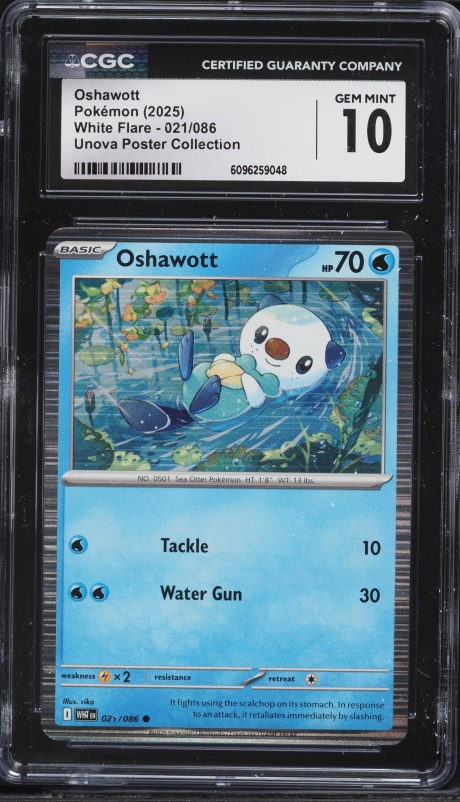 2025 Pokemon Scarlet & Violet White Flare Unova Poster Collection Oshawott #21 CGC 10 GEM MINT