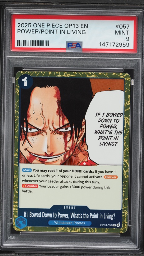 2025 One Piece Japanese Carrying On His Will What's The Point In