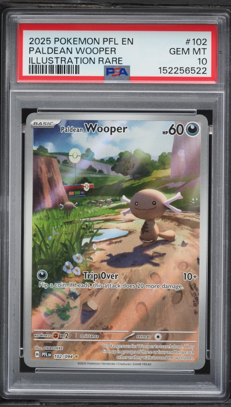 2025 Pokemon Phantasmal Flames Illustration Rare Paldean Wooper #102 PSA 10 GEM MINT