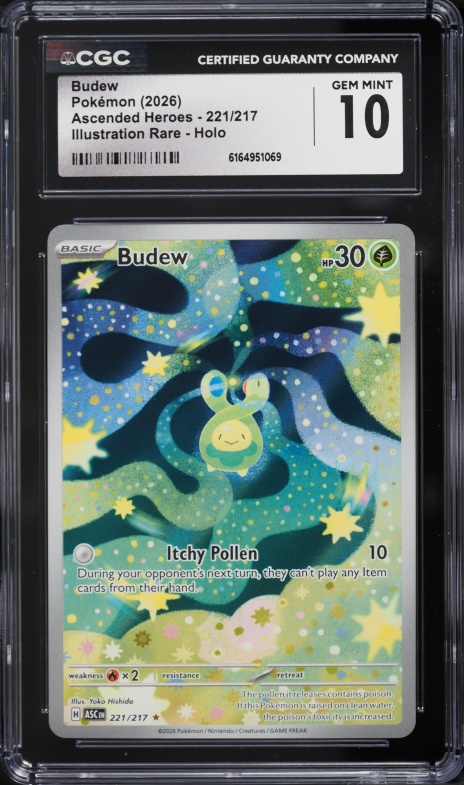 pokemon budew card - 33/100 Reverse Holo Pokmon Hit Points40 HP Form 2026 Pokemon Mega Evolution Ascended