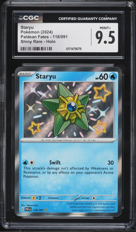 pokemon mudkip card Mudkip