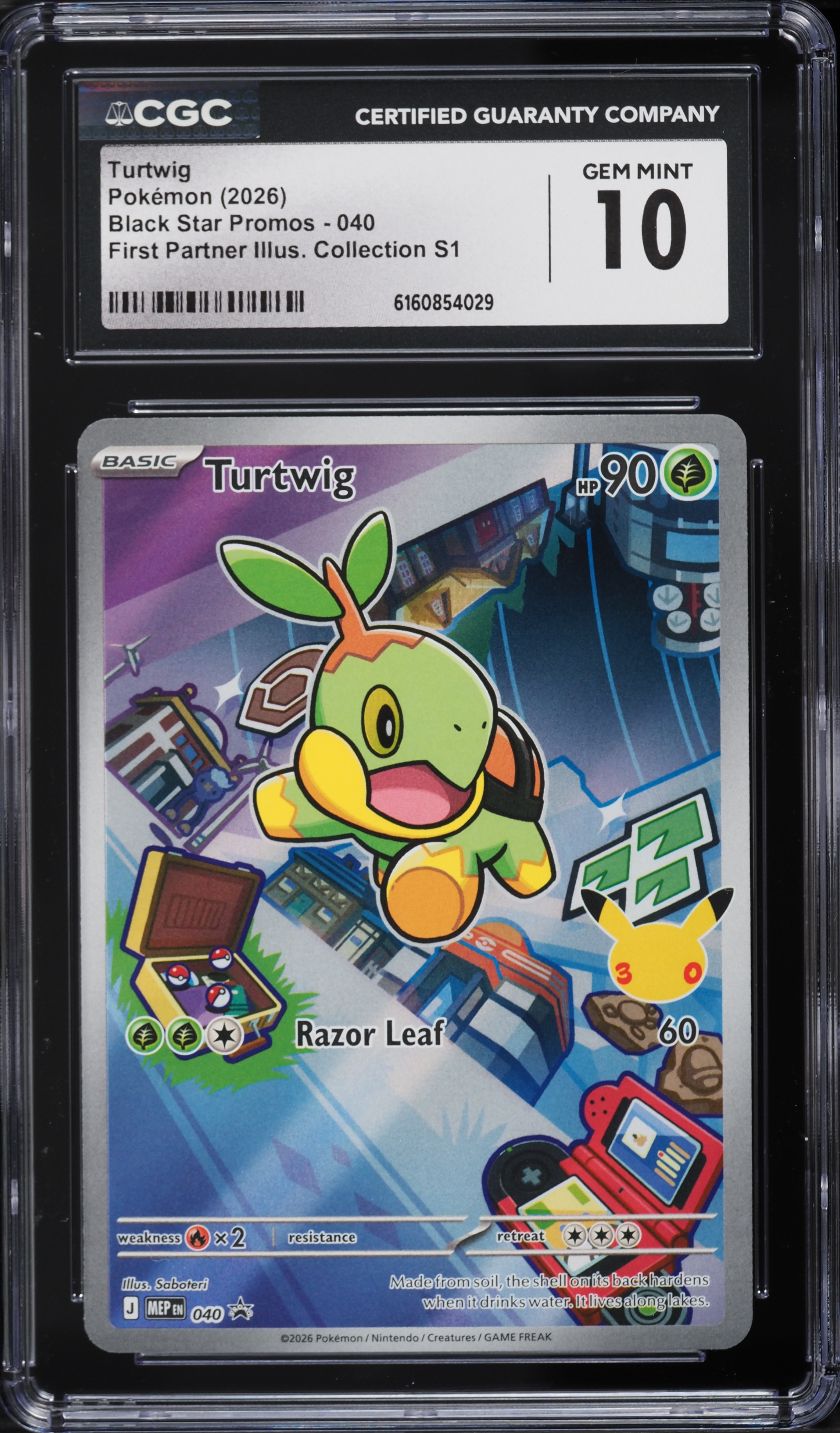 pokemon card turtwig (GG31/GG70) PokeGuard This is of the Common rarity. NEW Pokemon Jumbo Turtwig Promo