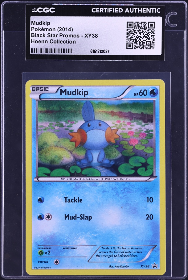 mudkip pokemon card mcdonalds Mudkip 19/25 HOLO Pokemon Card 25th Anniversary McDonalds Promo 2021
