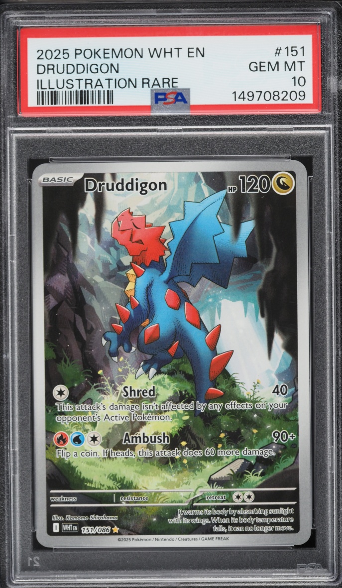 2025 Pokemon Scarlet & Violet White Flare IR Druddigon #151 PSA 10 GEM MINT