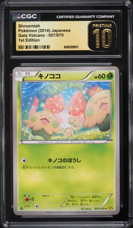 2025 Pokemon Japanese Playing Cards Pokemon Taruka Picture Card Shroomish  CGC 10 PRISTINE on Fanatics Collect