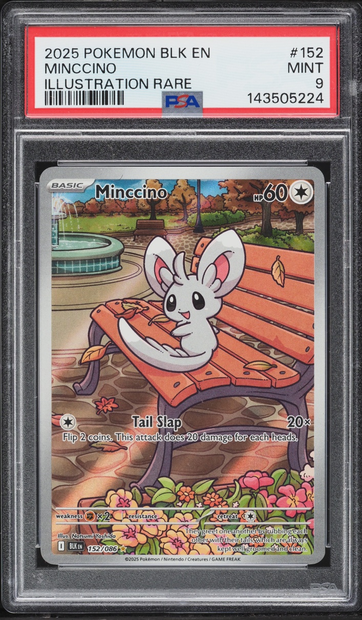 2025 Pokemon Scarlet & Violet Black Bolt IR Minccino #152 PSA 9 MINT