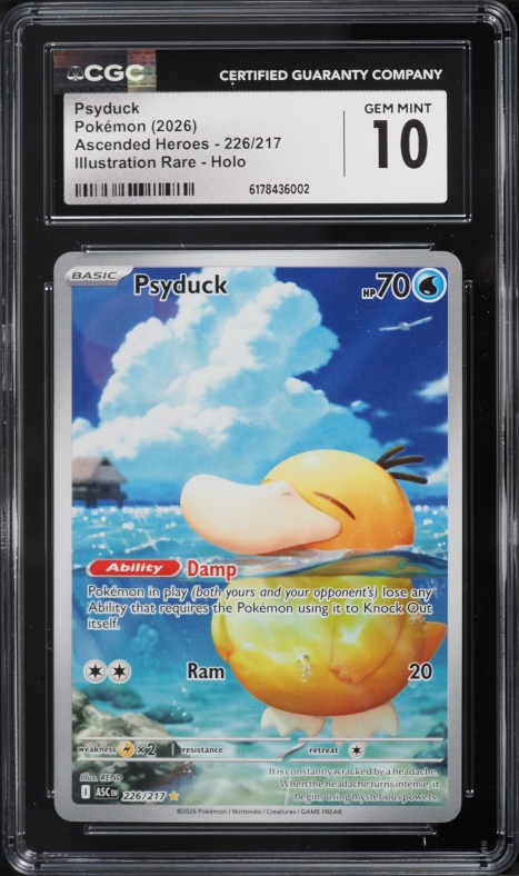 2025 Pokemon Japanese Scarlet & Violet Promo Gym Pack 10 Psyduck