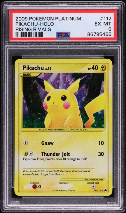 2022 Pokemon Japanese Sword & Shield Promo GO Card File Set Holo