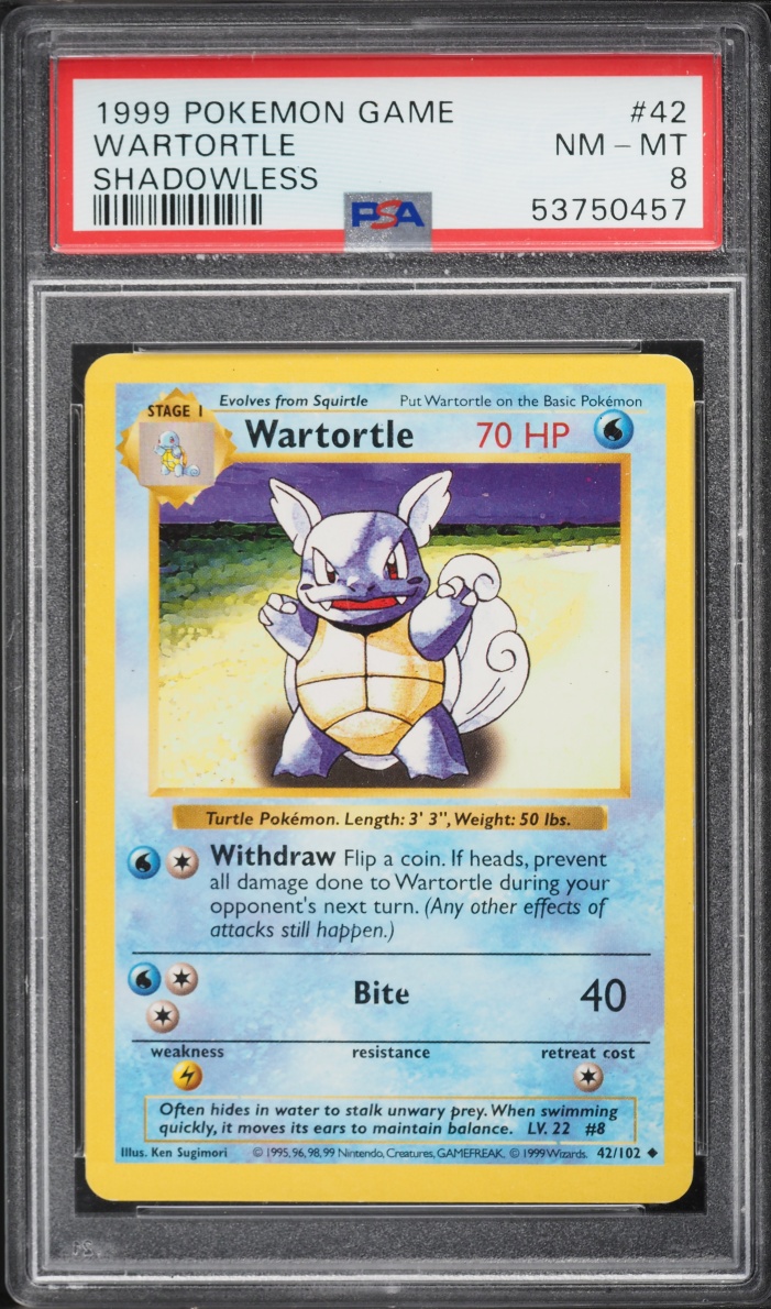 1999 Pokemon Base Set Shadowless Wartortle #42 PSA 8 NM-MT