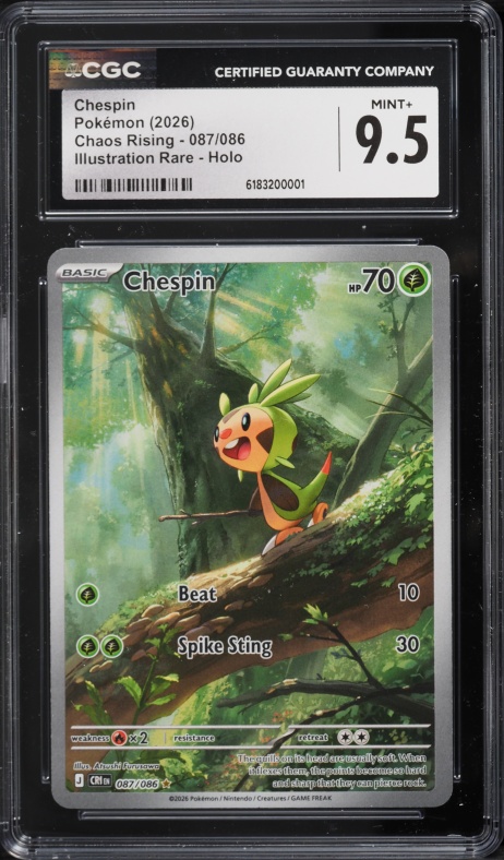 ポケモンカード　Chespin Art Academy Promo 2015 2015 Pokemon Art Academy Contest Winner Chespin CGC 9 MINT on