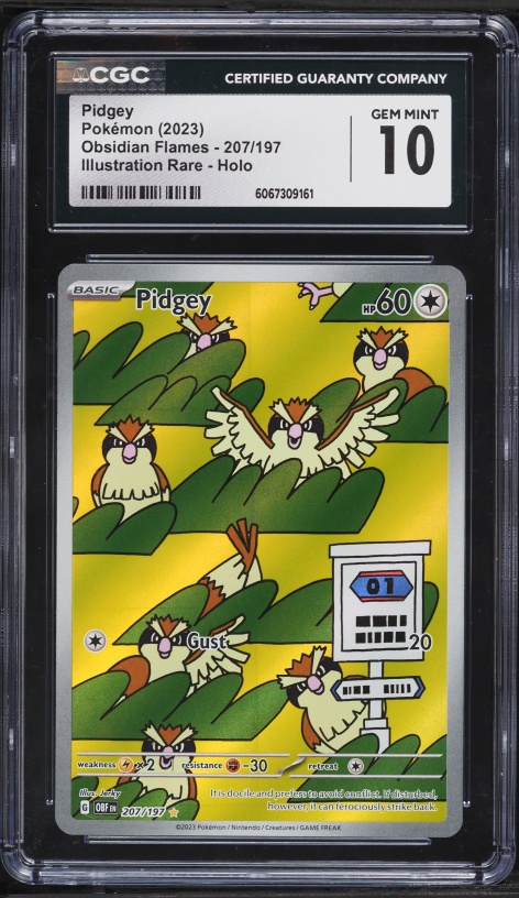2023 Pokemon Scarlet & Violet Obsidian Flames IR Pidgey #207 CGC 10 GEM MINT