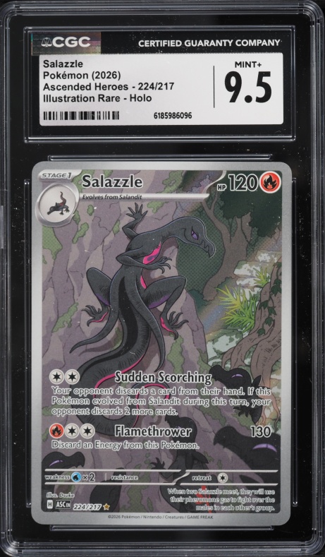 2026 Pokemon Mega Evolution Ascended Heroes IR Salazzle #224 CGC 9.5 MINT+