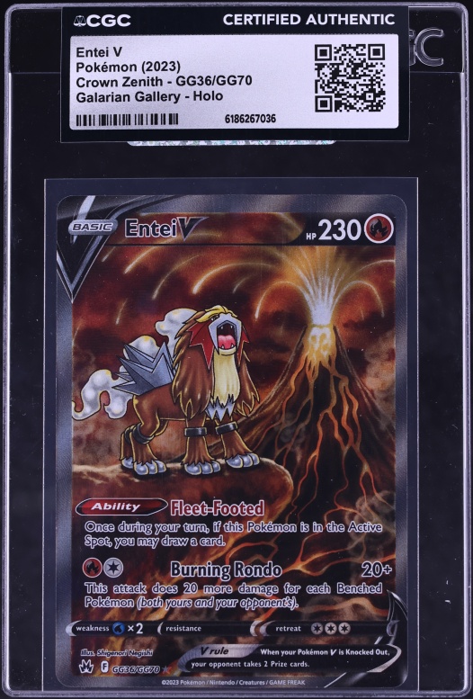 2022 Pokemon Japanese SWSH VSTAR Universe SAR Entei V #213 CGC 10