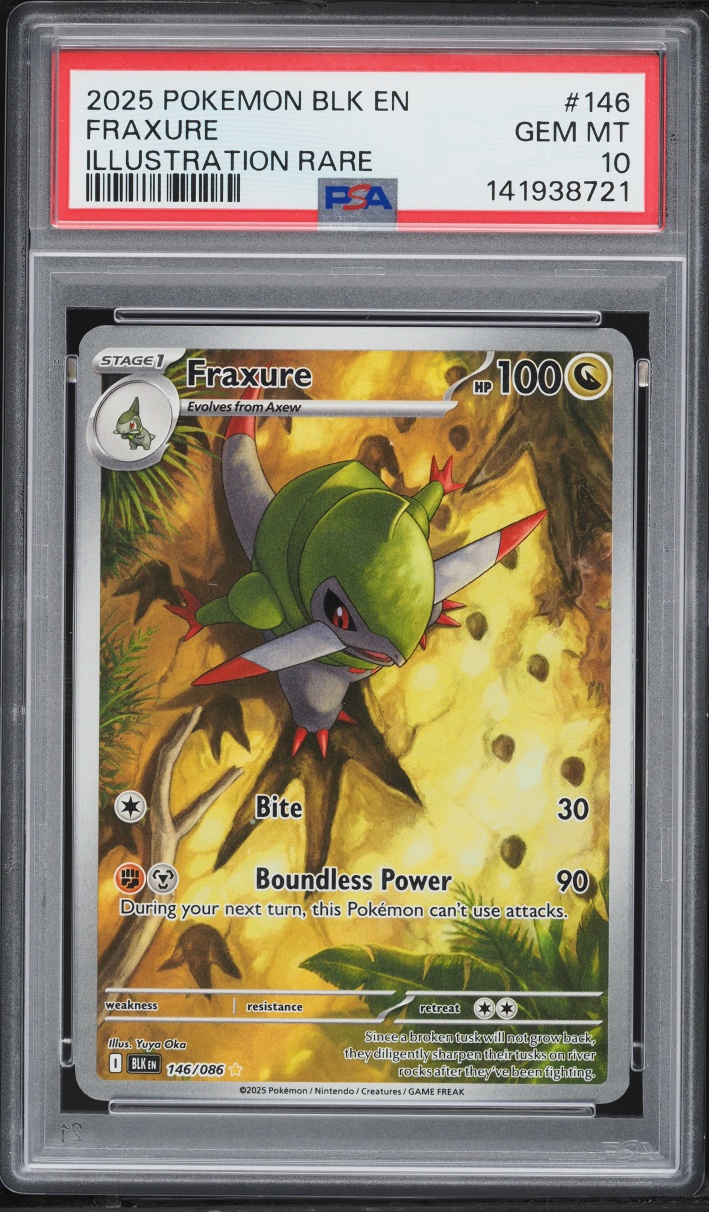 2025 Pokemon Scarlet & Violet Black Bolt IR Fraxure #146 PSA 10 GEM MINT