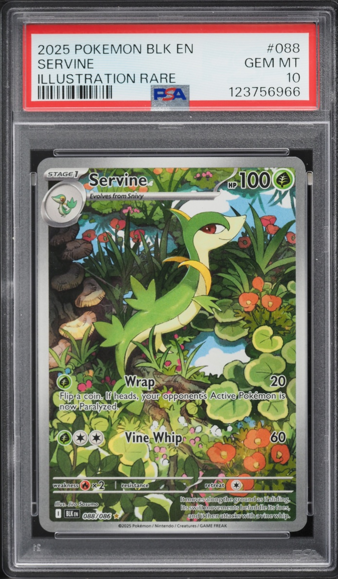 2025 Pokemon Scarlet & Violet Black Bolt IR Servine #88 PSA 10 GEM MINT