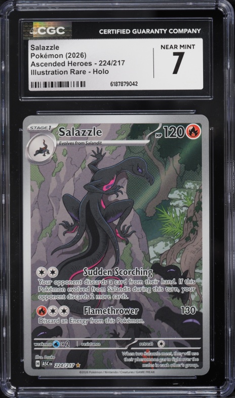 2026 Pokemon Mega Evolution Ascended Heroes IR Salazzle #224 CGC 7 NRMT