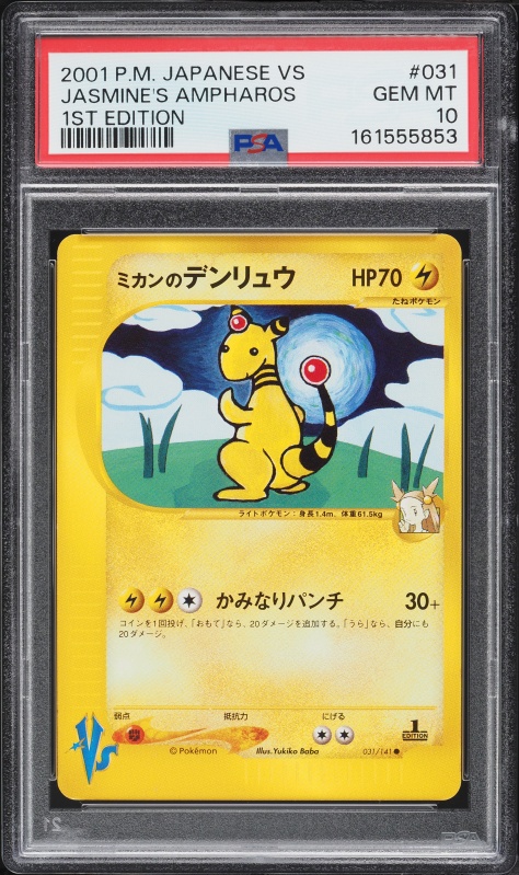 ミカンのデンリュウ PSA