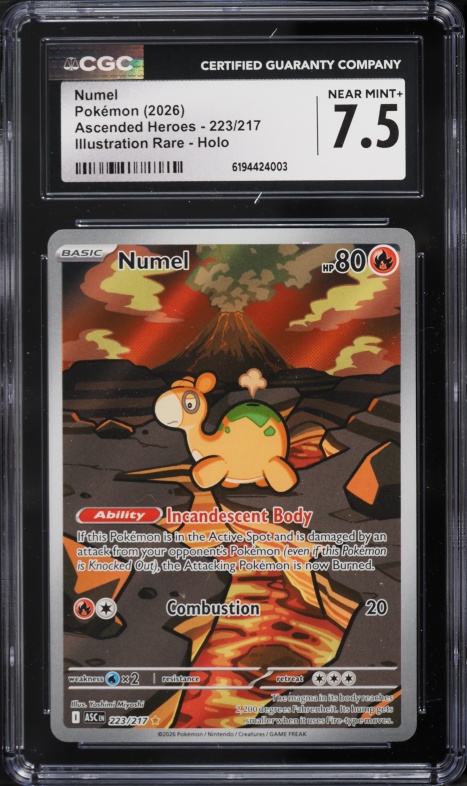 2026 Pokemon Mega Evolution Ascended Heroes IR Numel #223 CGC 7.5 NRMT+