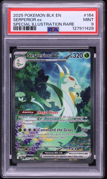2025 Pokemon Scarlet & Violet Black Bolt SIR Serperior ex #164 PSA 9 MINT