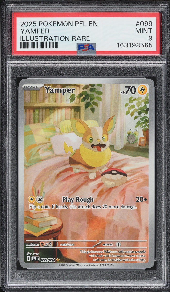 2025 Pokemon Mega Evolution Phantasmal Flames IR Yamper #99 PSA 9 MINT