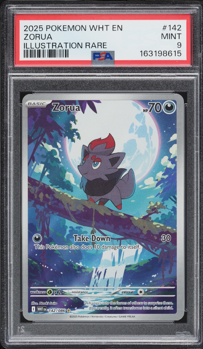 2025 Pokemon Scarlet & Violet White Flare IR Zorua #142 PSA 9 MINT
