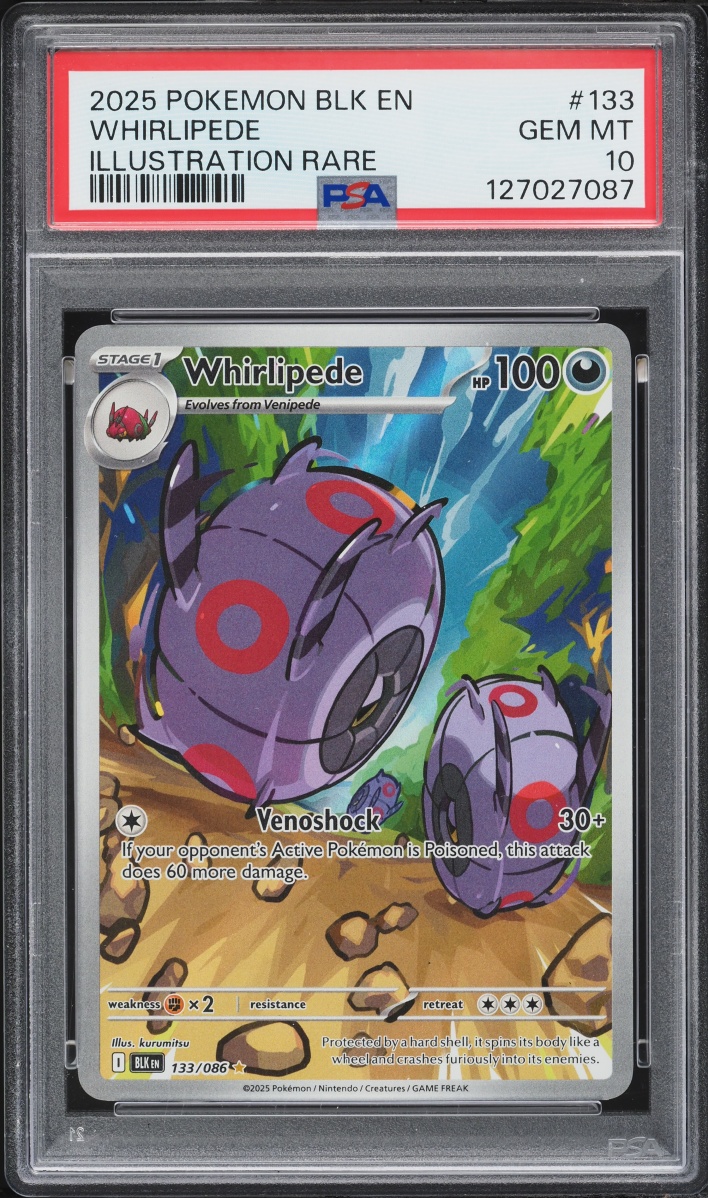 2025 Pokemon Scarlet & Violet Black Bolt IR Whirlipede #133 PSA 10 GEM MINT