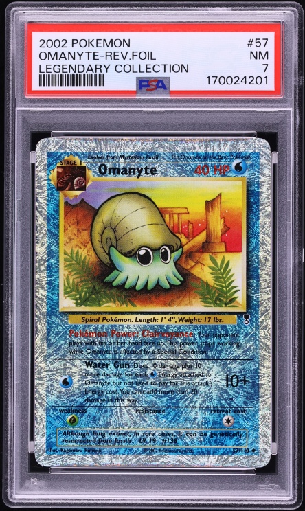 Omanyte