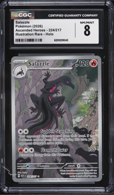 2026 Pokemon Mega Evolution Ascended Heroes IR Salazzle #224 CGC 8 NM-MT