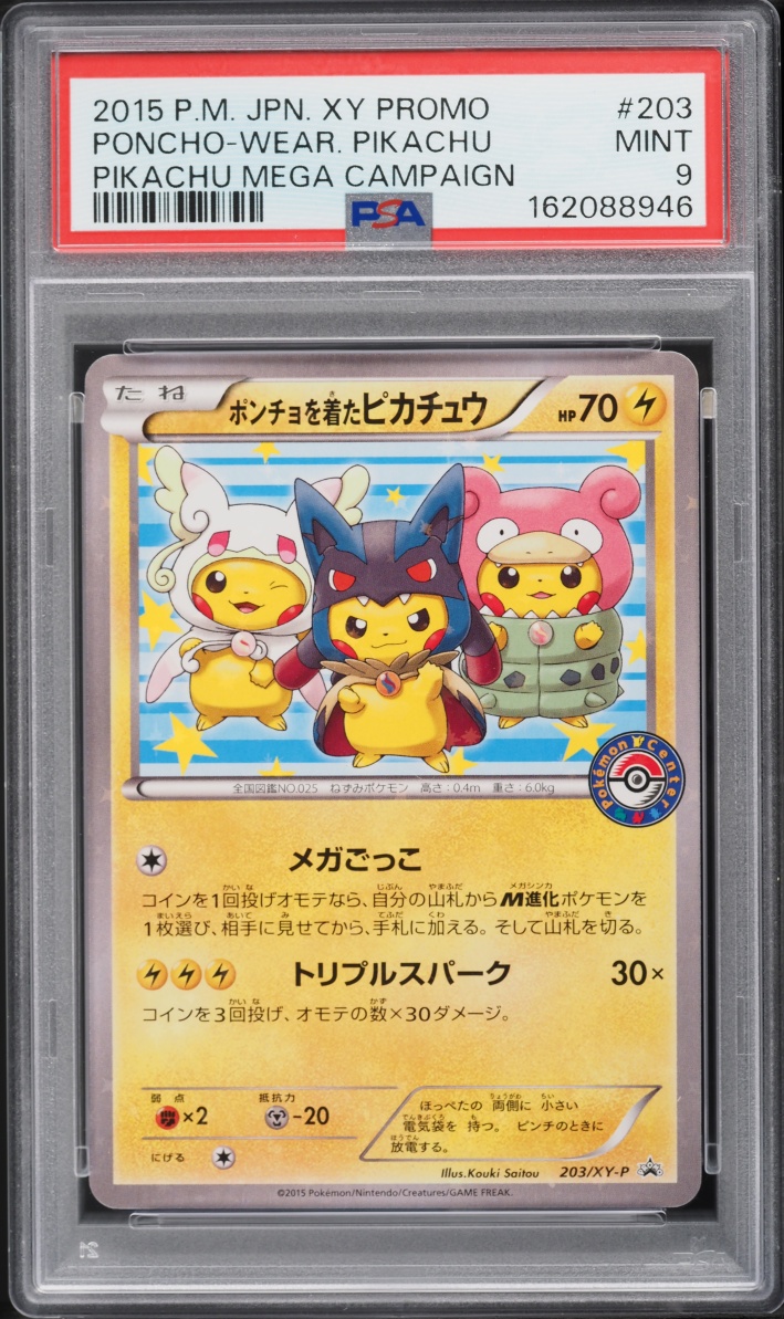 Poncho-Wear Pikachu