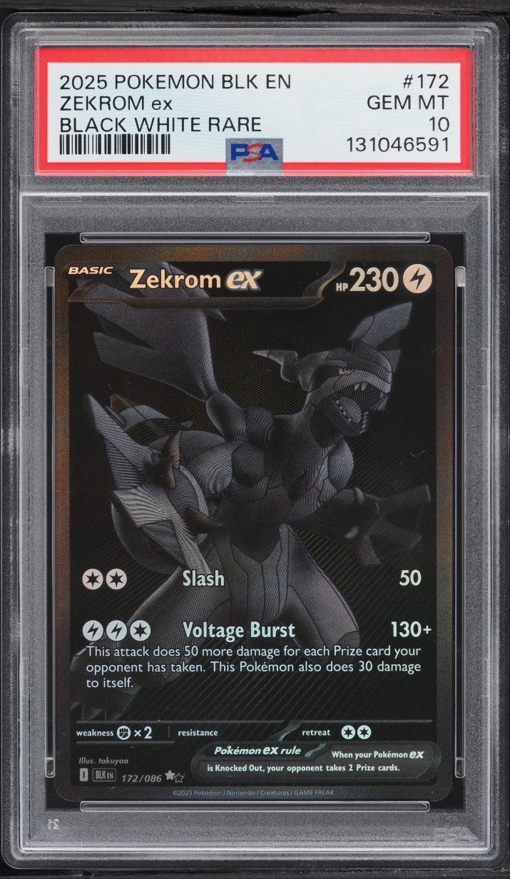 ZEKROM ex