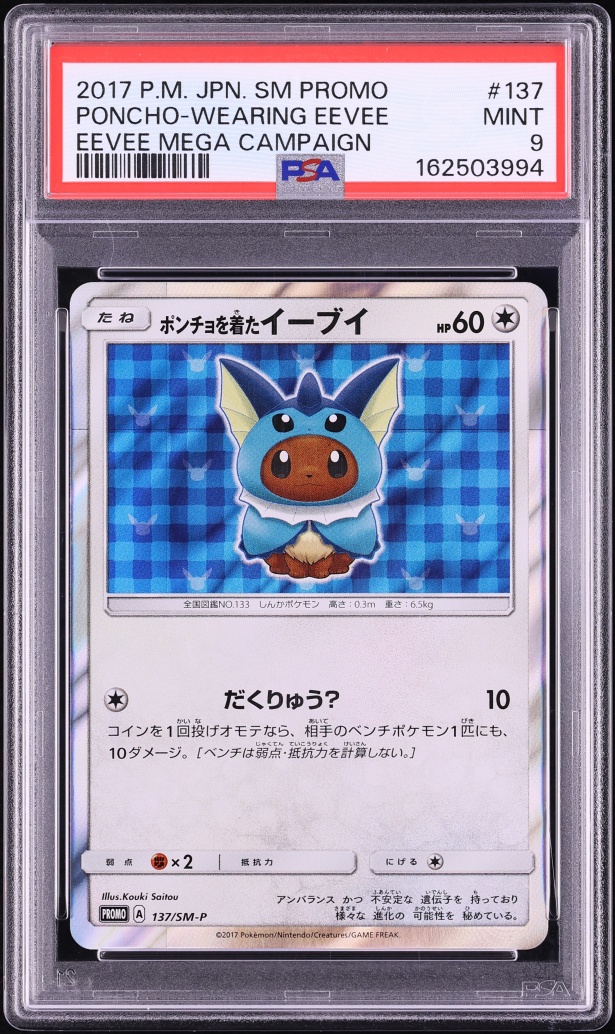 Poncho-wearing Eevee