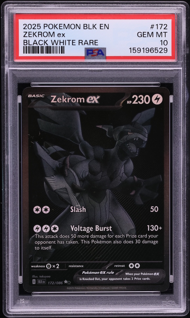 ZEKROM ex