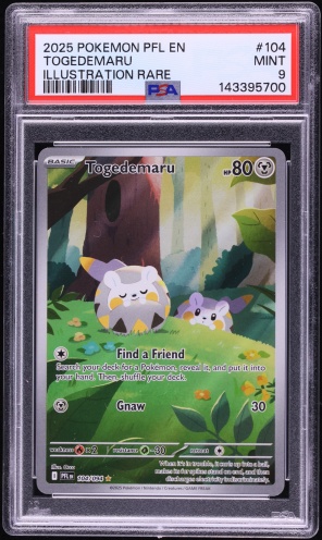 2025 Pokemon Mega Phantasmal Flames IR Togedemaru #104 PSA 9 MINT