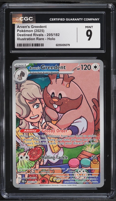 2025 Pokemon Scarlet & Violet Destined Rivals IR Arven's Greedent #205 CGC 9 MINT