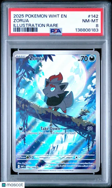 2025 Pokemon WHT EN-White Flare Zorua #142 Illustration Rare PSA 8