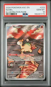 2026 POKEMON ASC EN-ASCENDED HEROES NUMEL #223 ILLUSTRATION RARE PSA 10