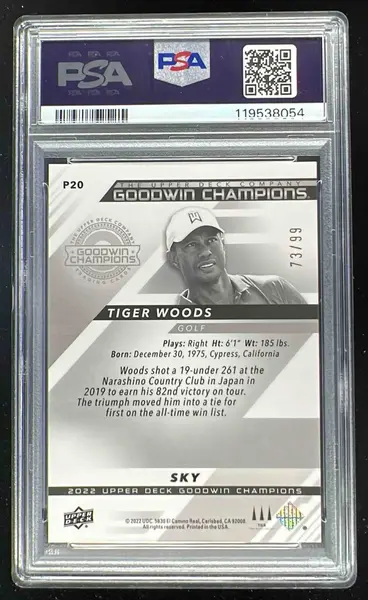 2022 Upper Deck Goodwin Champions Platinum Sky #P20 Tiger Woods